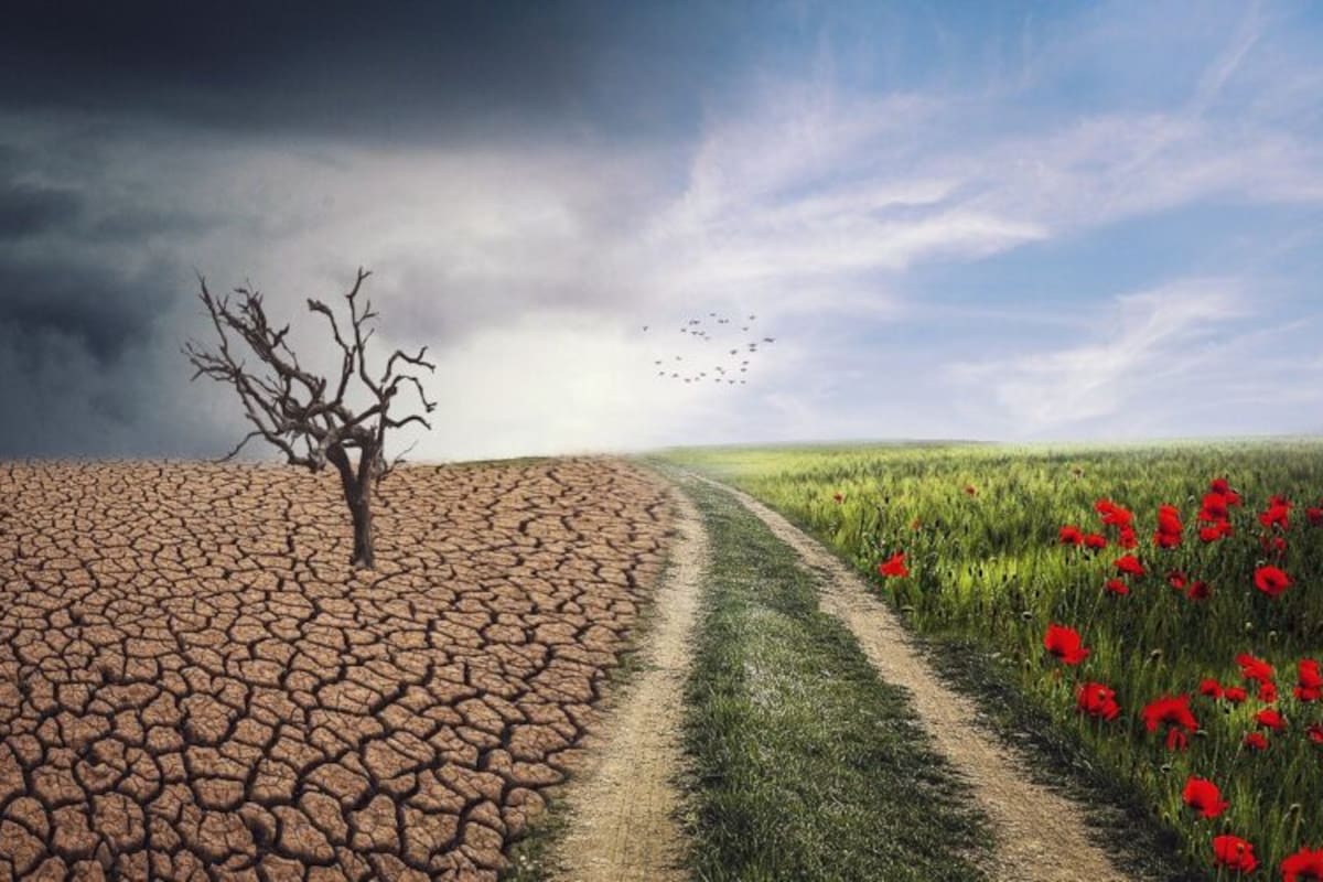 ¿Qué es la triple crisis planetaria y cómo podemos enfrentarnos a ella?