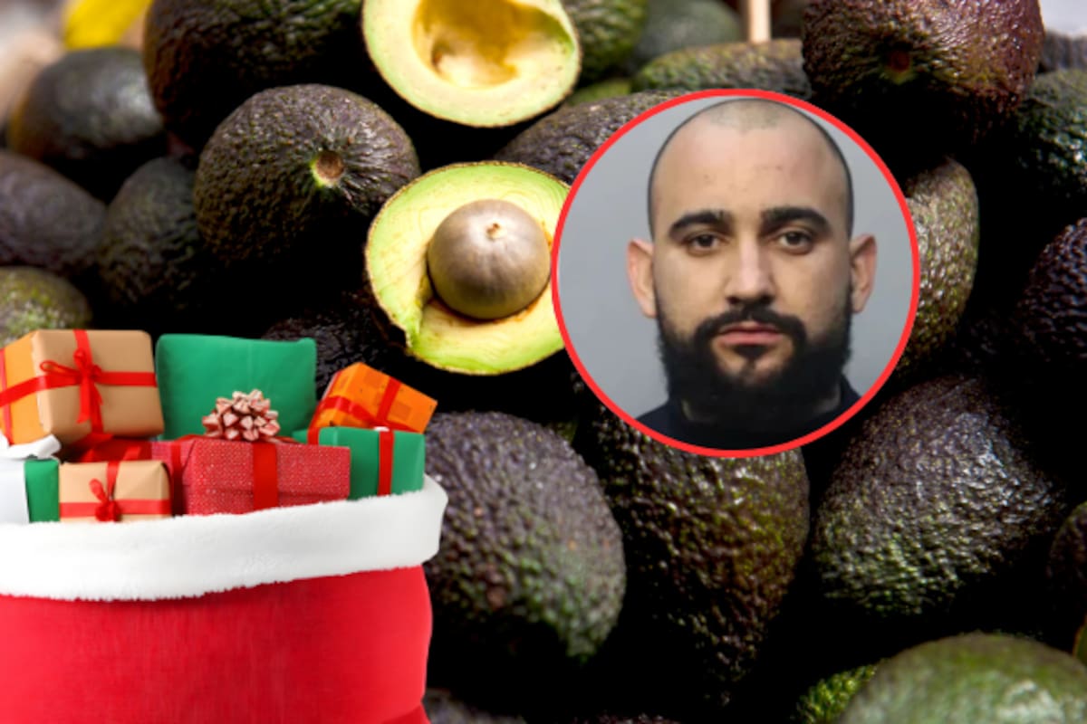Hombre de Florida es acusado de robar 181 kilos de aguacates para revenderlos y supuestamente poder pagar los regalos navideños de sus hijos