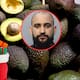 Hombre de Florida es acusado de robar 181 kilos de aguacates para revenderlos y supuestamente poder pagar los regalos navideños de sus hijos