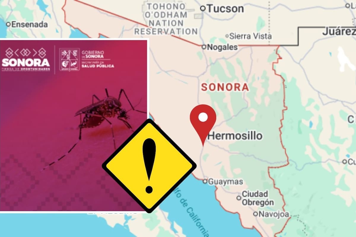 Hermosillo concentra más casos de dengue en Sonora y junto con Guaymas, Cajeme y Empalme reúne casi 7 de cada 10 contagios mientras el estado ocupa el primer lugar nacional