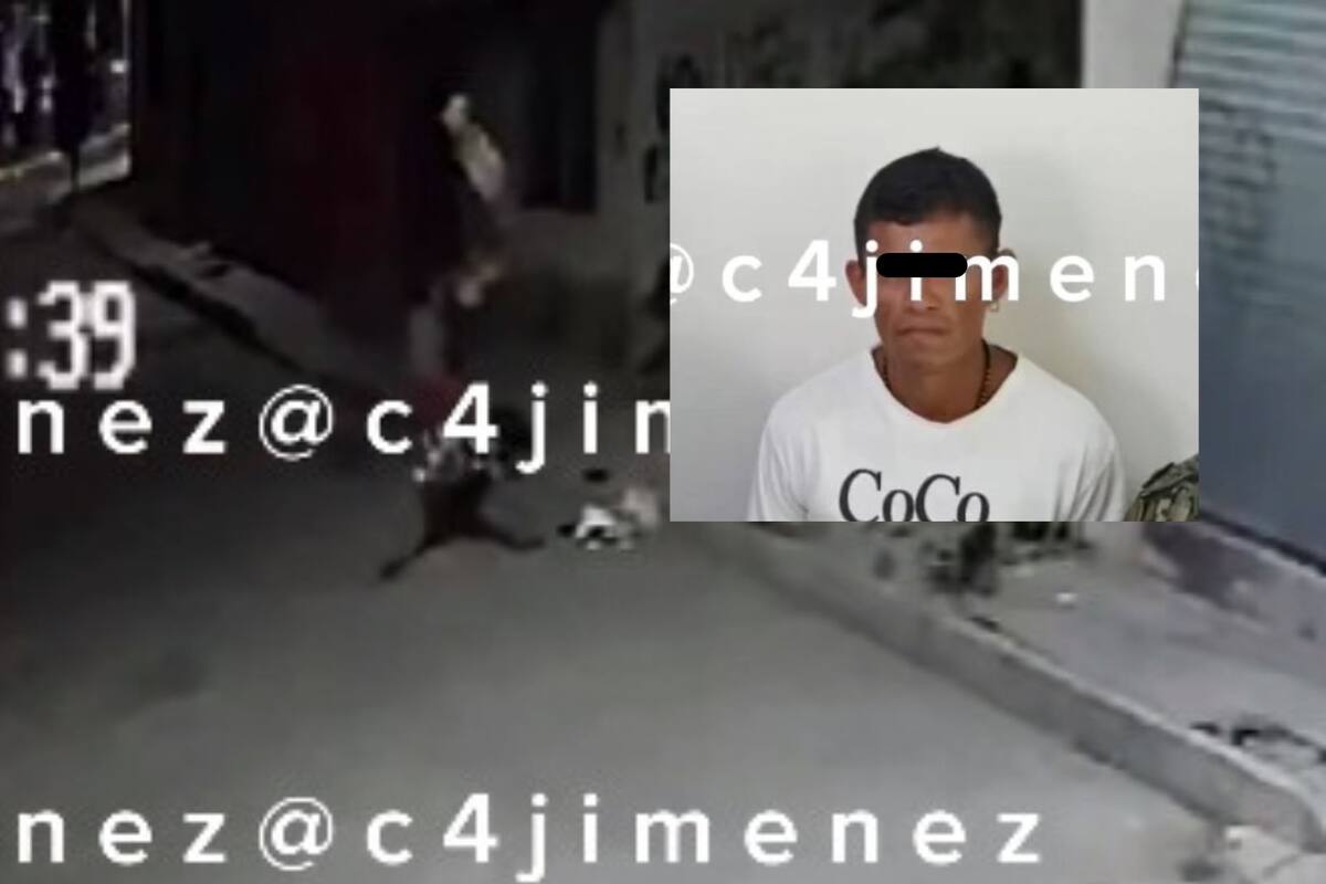 Video: Detienen a hombre por matar a perrito a golpes con una patineta