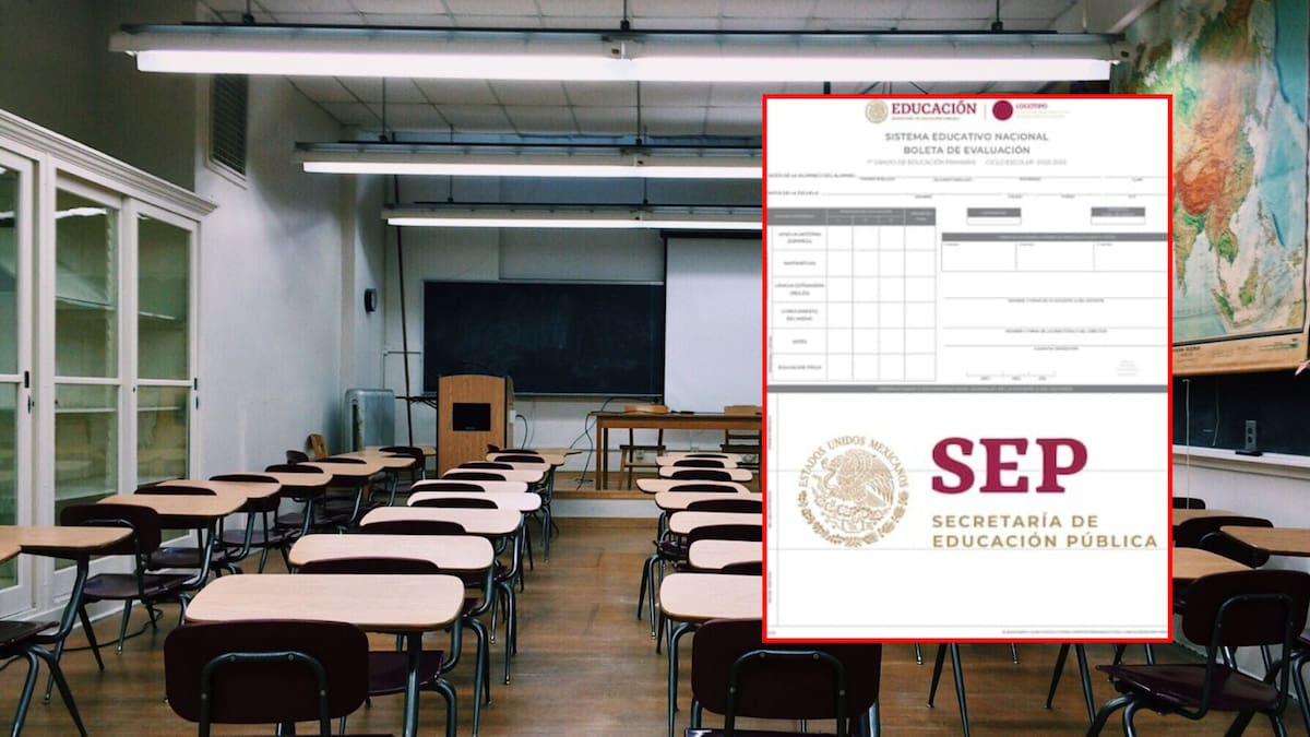 boletas de calificaciones