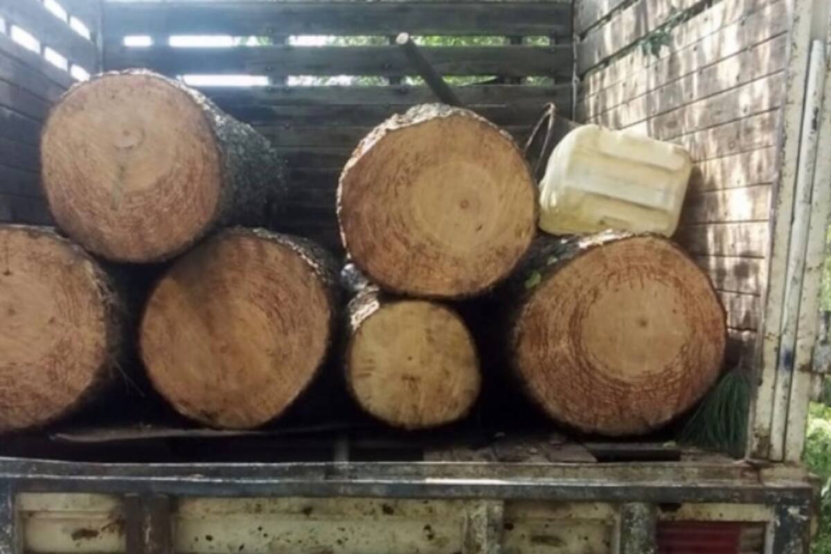 Dan prisión preventiva a 9 hombres por delitos ambientales en Milpa Alta