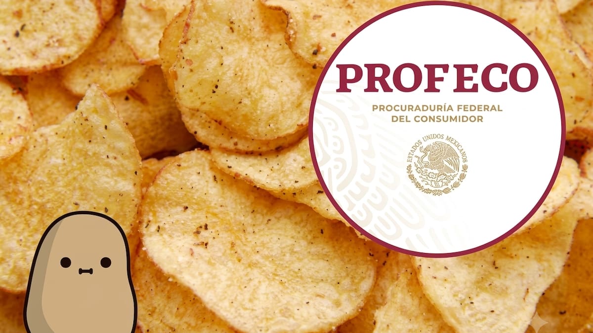 Profeco analiza diferentes marcas de papas fritas y concluye que Sabritas, Great Value Papas Fuego y Bokados Boka-Chitos son las de mayor calidad