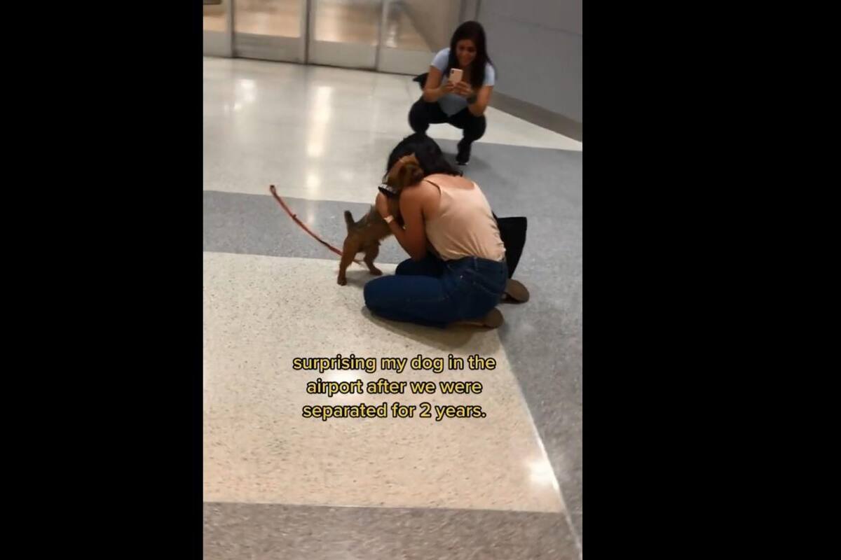 VIDEO VIRAL: Joven se reencuentra con su mascota y esta fue su reacción