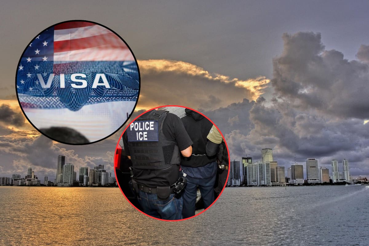 El contraste de Miami: ICE endurece redadas mientras Francis Suárez impulsa visas para millonarios