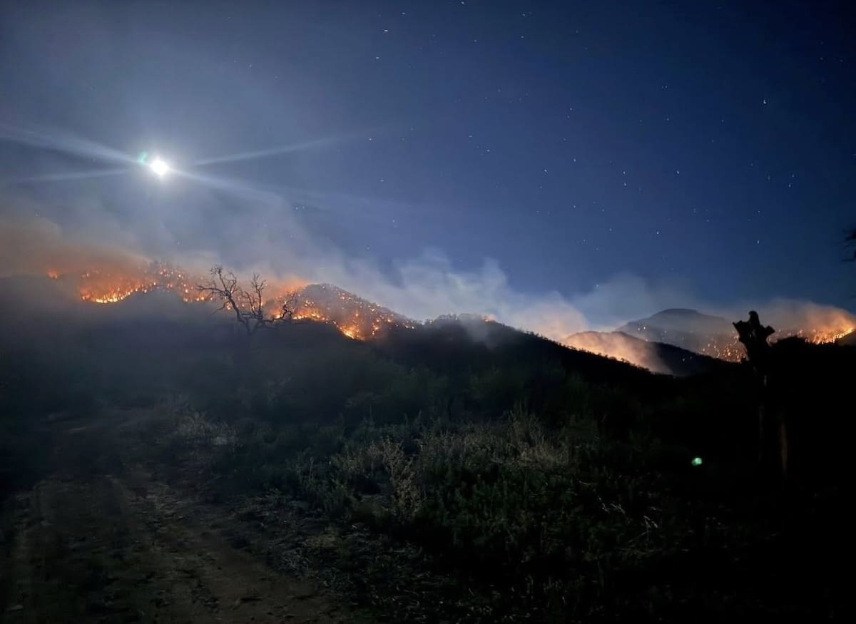 El siniestro registrado en Arivechi continúa bajo combate desde el 29 de mayo y se ubica entre los de mayor superficie afectada del País. FOTO: ESPECIAL
