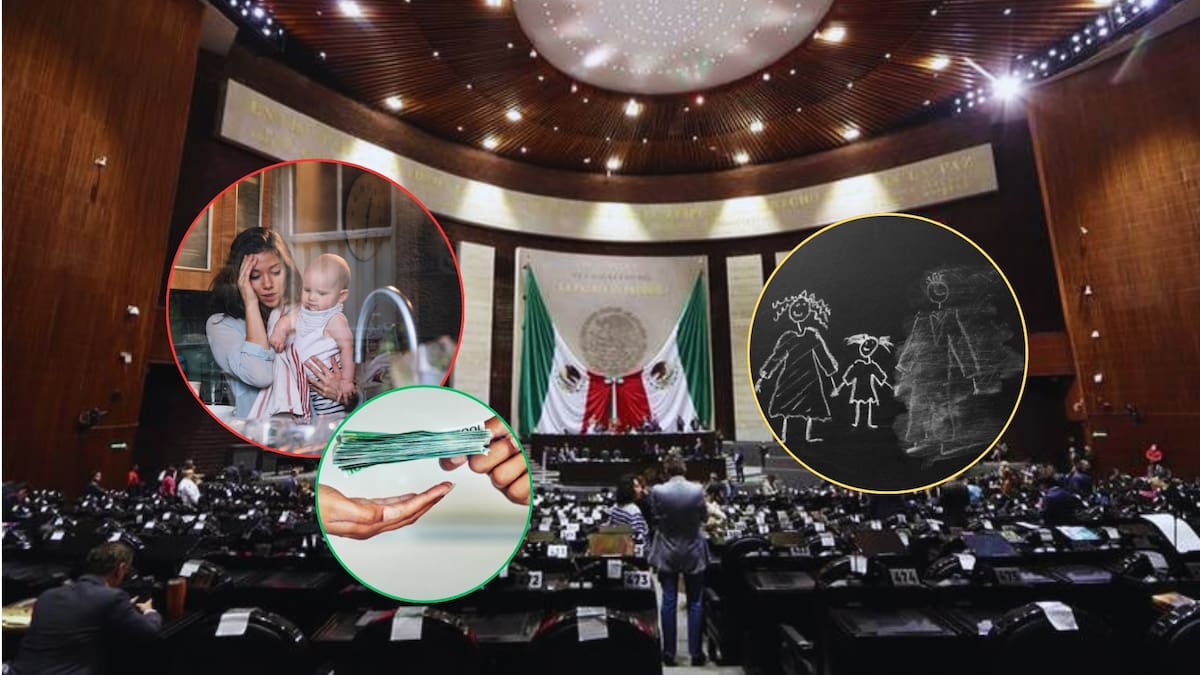 Senado va contra deudores alimentarios y propone reforzar el Registro Nacional de Obligaciones Alimentarias para proteger derechos de niños y adolescentes