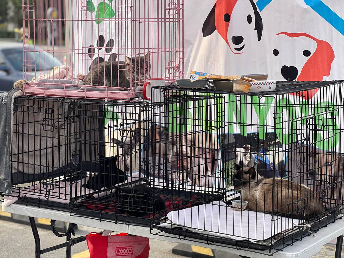 Foto: Leonardo González