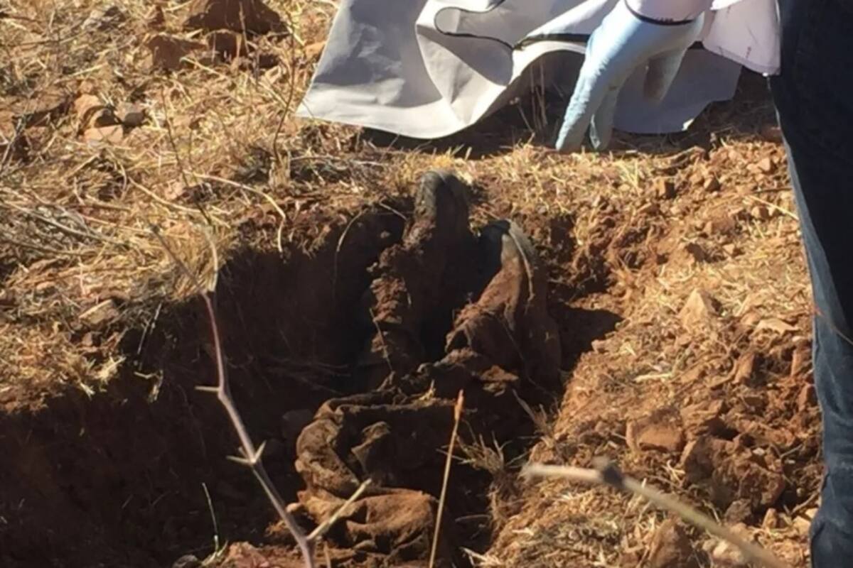Hallan 25 cadáveres en fosa clandestina en Jalisco