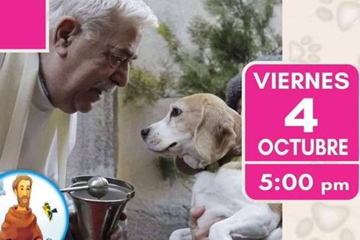 Invitan a bendecir a las mascotas en iglesia