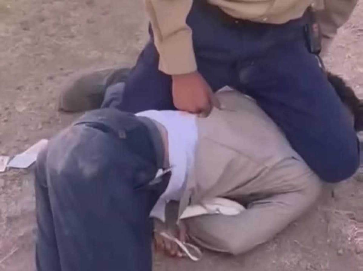 Se realizan entrevistas, revisión de evidencia y atención psicológica al menor. Foto: Captura de pantalla