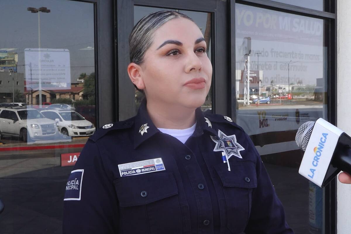 Estos son los delitos que sanciona la patrulla ecológica