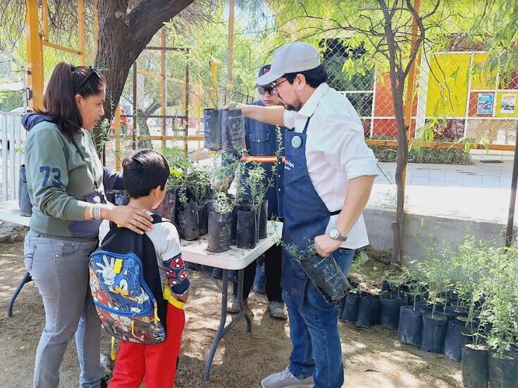 Palo verde, mezquite y mimbre: los árboles nativos más solicitados en el Vívero Municipal de Hermosillo