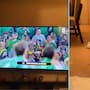 Perrito conquista redes al “saludar” durante el Himno Nacional Mexicano previo al partido de México (VIDEO)
