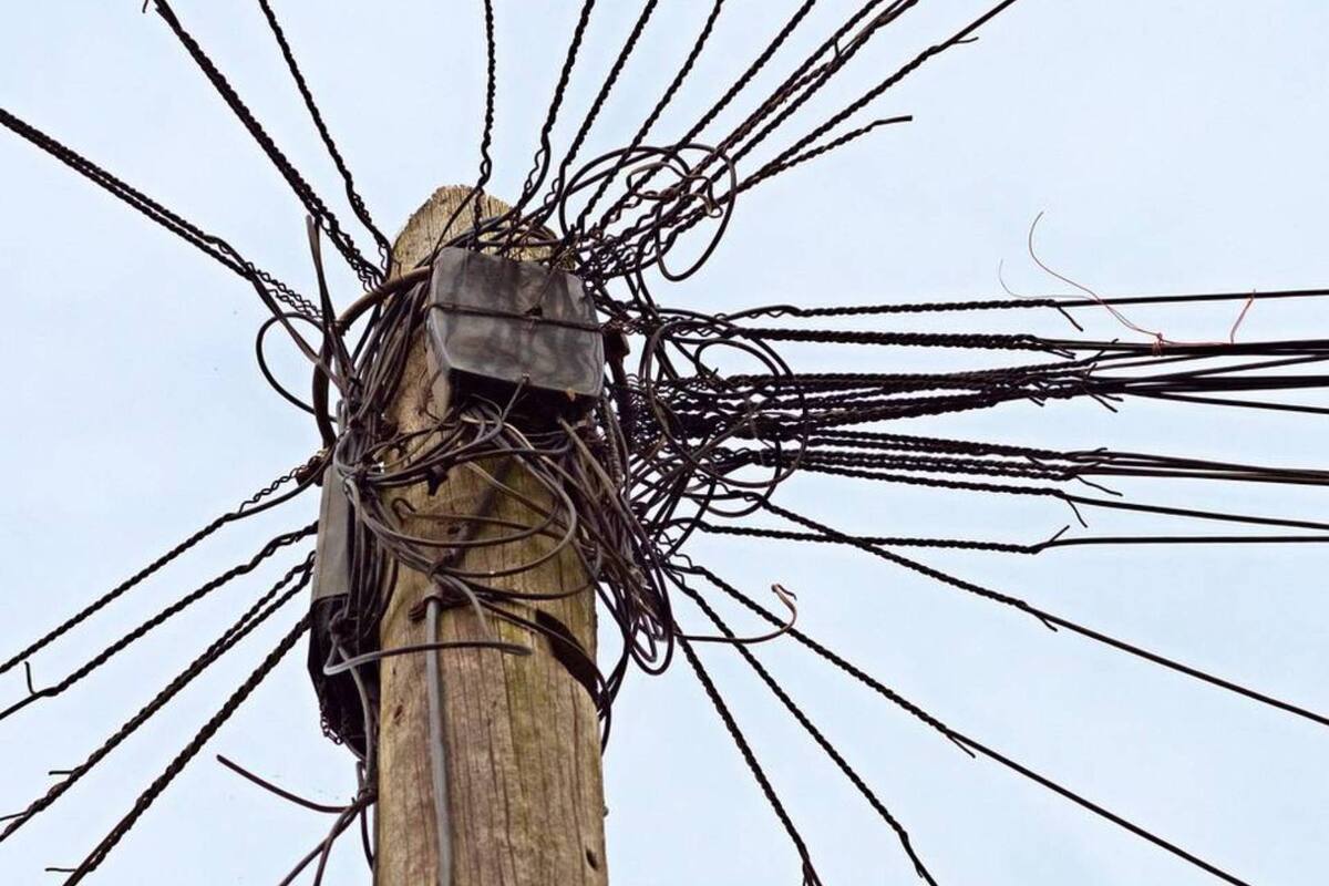 Hombre muere electrocutado al podar un árbol en Sinaloa