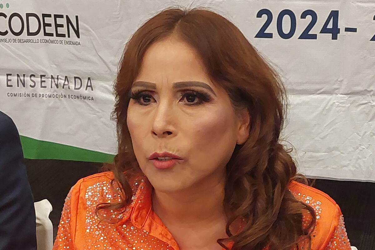 Busca Claudia Agatón sumar perfiles ciudadanos