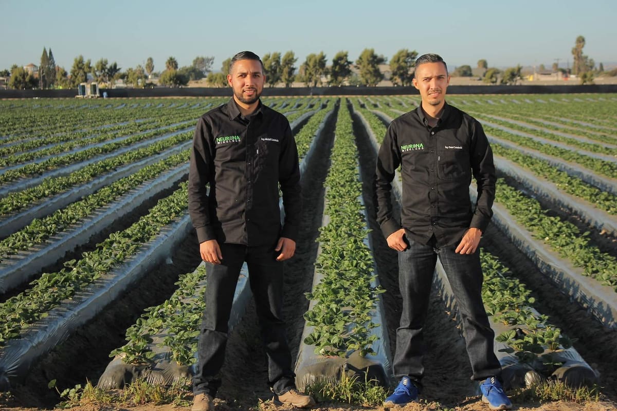 Estudiantes de Ingeniería desarrollaron un robot para el sector agrícola