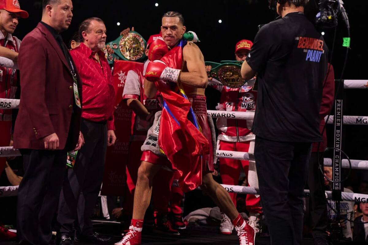 ¿Cuándo pelea David Benavidez por el título de peso Semipesado del CMB?