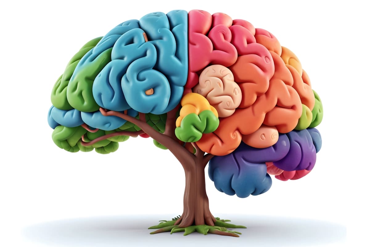 ¿Qué es la neuroplasticidad? Es la capacidad del cerebro para adaptarse y transformarse continuamente a lo largo de la vida