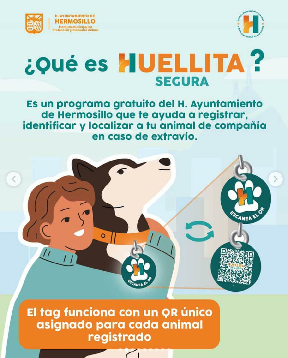 Buscan hogar para lomitos y michis en el Parque Ignacio Madero. Foto: Especial