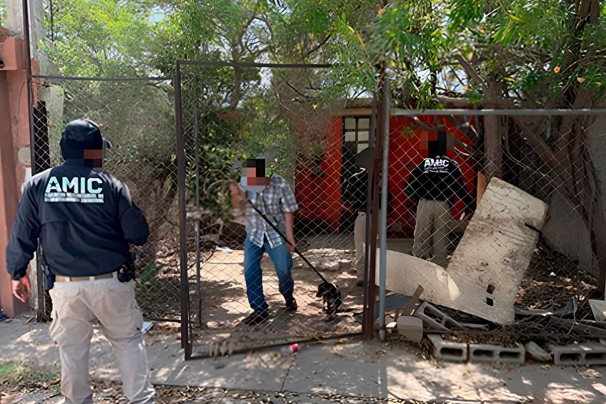 Rescatan a dos perritas durante cateo por maltrato animal en de Ciudad Obregón