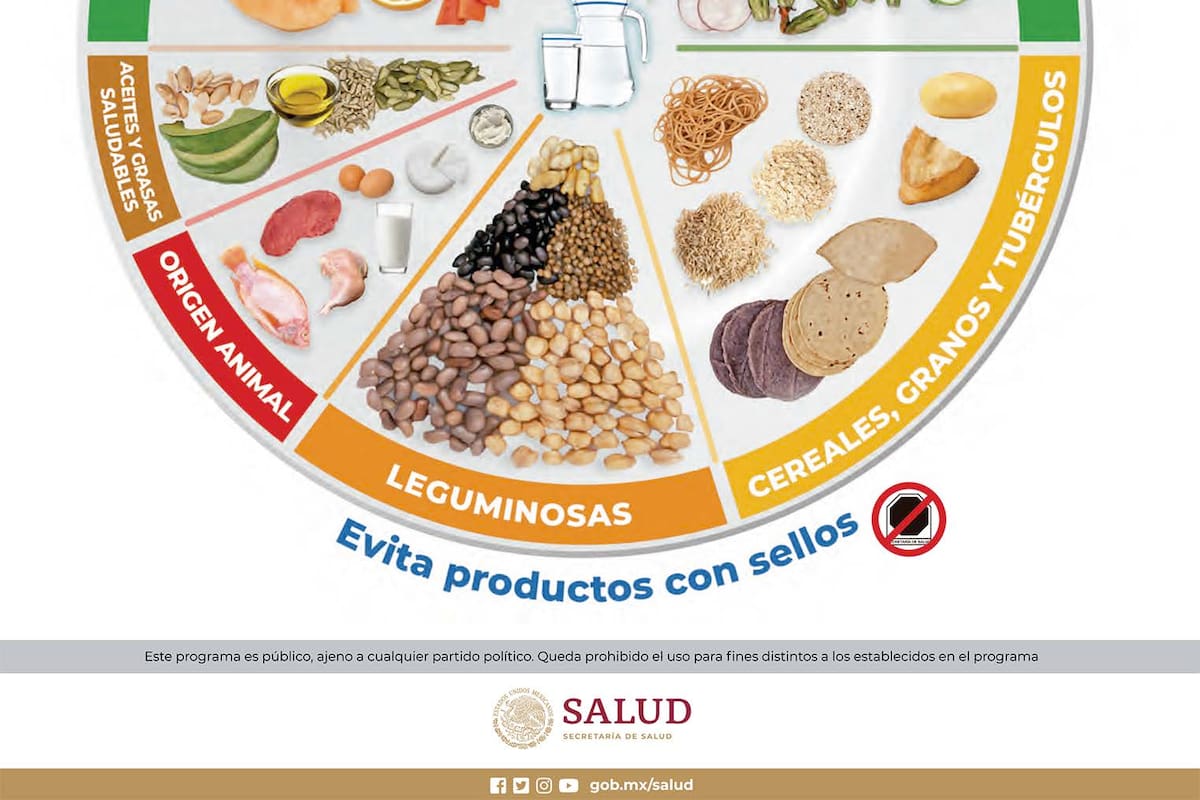 ¿Qué es el Plato del Bien Comer y para qué sirve?