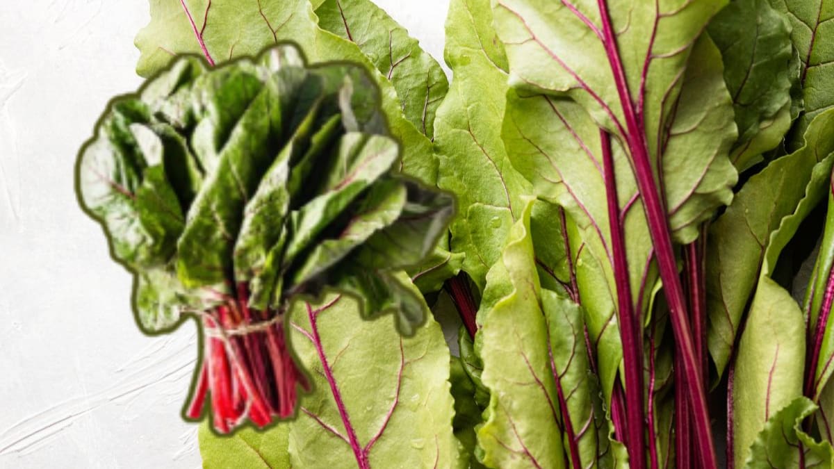 Acelga: la verdura de invierno que puede ayudar a mejorar la circulación, fortalecer el sistema inmune y aportar hierro