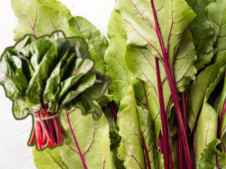 Acelga: la verdura de invierno que puede ayudar a mejorar la circulación, fortalecer el sistema inmune y aportar hierro