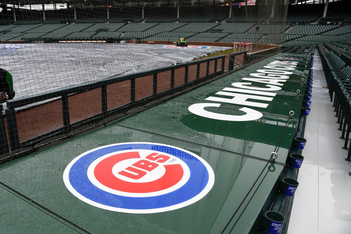 VIDEO: Castigan Cubs a aficionado por su comportamiento