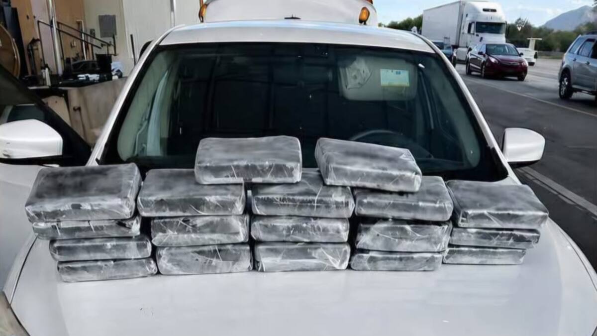 Decomisan cocaína y fentanilo valuados en 500 mil dólares en revisión migratoria de Arizona