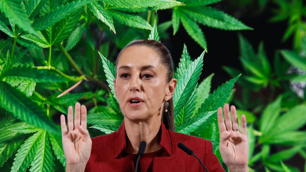 Claudia Sheinbaum se expresó sobre la mariguana y su consumo previo a los fallos de la SCJN en materia de productos de cannabis comestibles