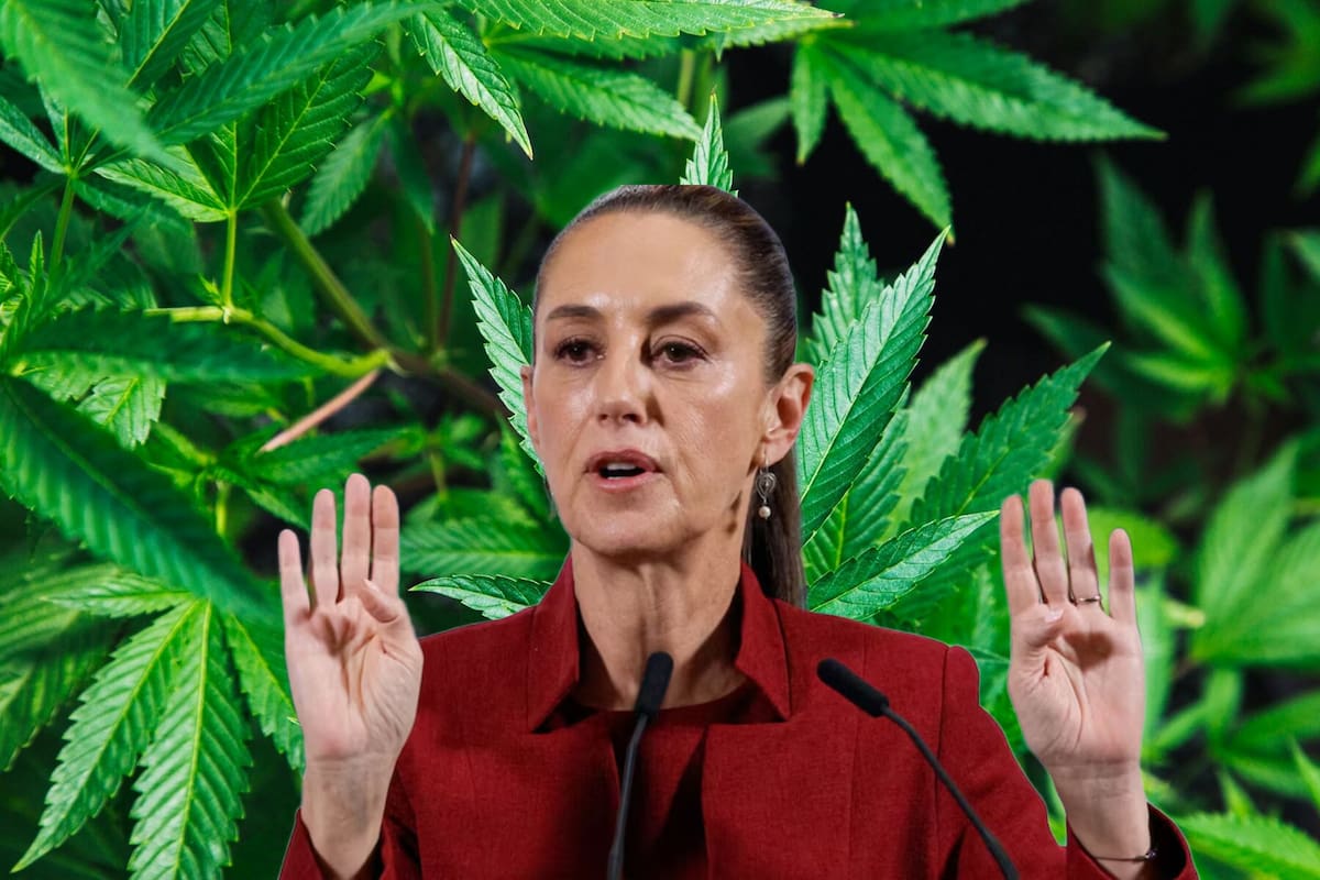 Claudia Sheinbaum se expresó sobre la mariguana y su consumo previo a los fallos de la SCJN en materia de productos de cannabis comestibles