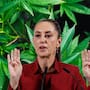 Claudia Sheinbaum se expresó sobre la mariguana y su consumo previo a los fallos de la SCJN en materia de productos de cannabis comestibles