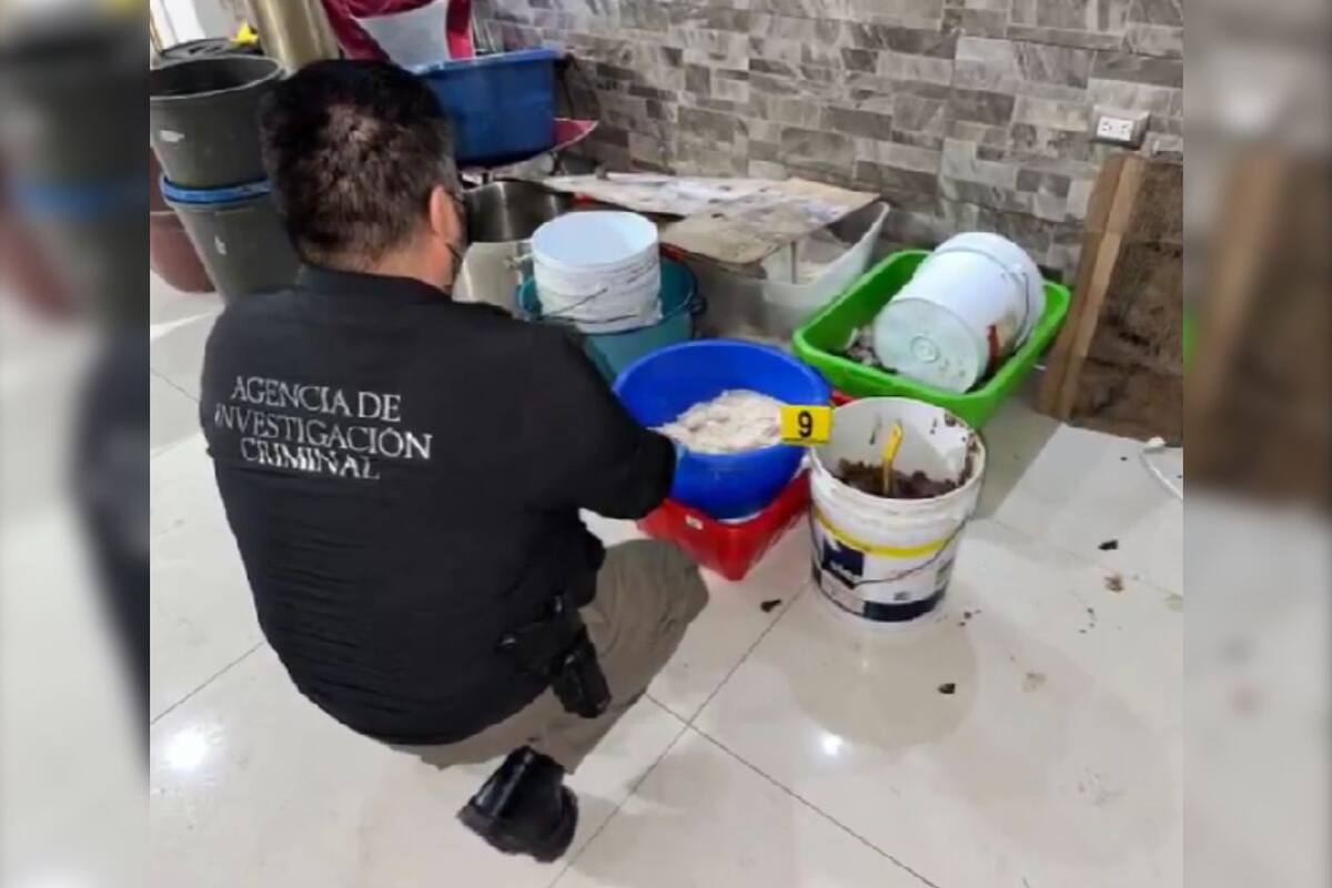Cateo en Culiacán: aseguran más de mil litros de metanfetaminas y armas de uso exclusivo militar