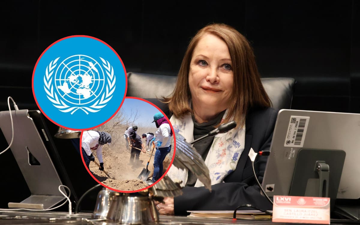 Foto: ONU/Laura Itzel Castillo en X/Canva.