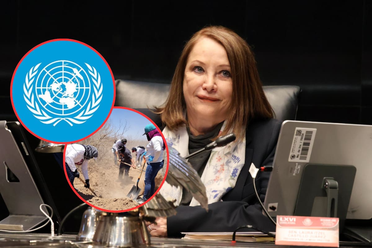 Laura Itzel Castillo, presidenta del Senado, critica a Comité de la ONU por señalamientos sobre desapariciones: “Falta rigor y puede abrir paso a intereses injerencistas”