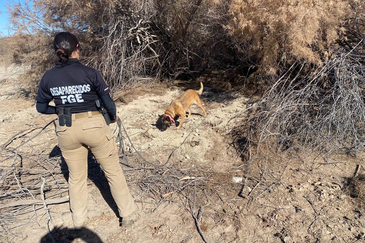 Continúan operativo de búsqueda en el Valle de Mexicali