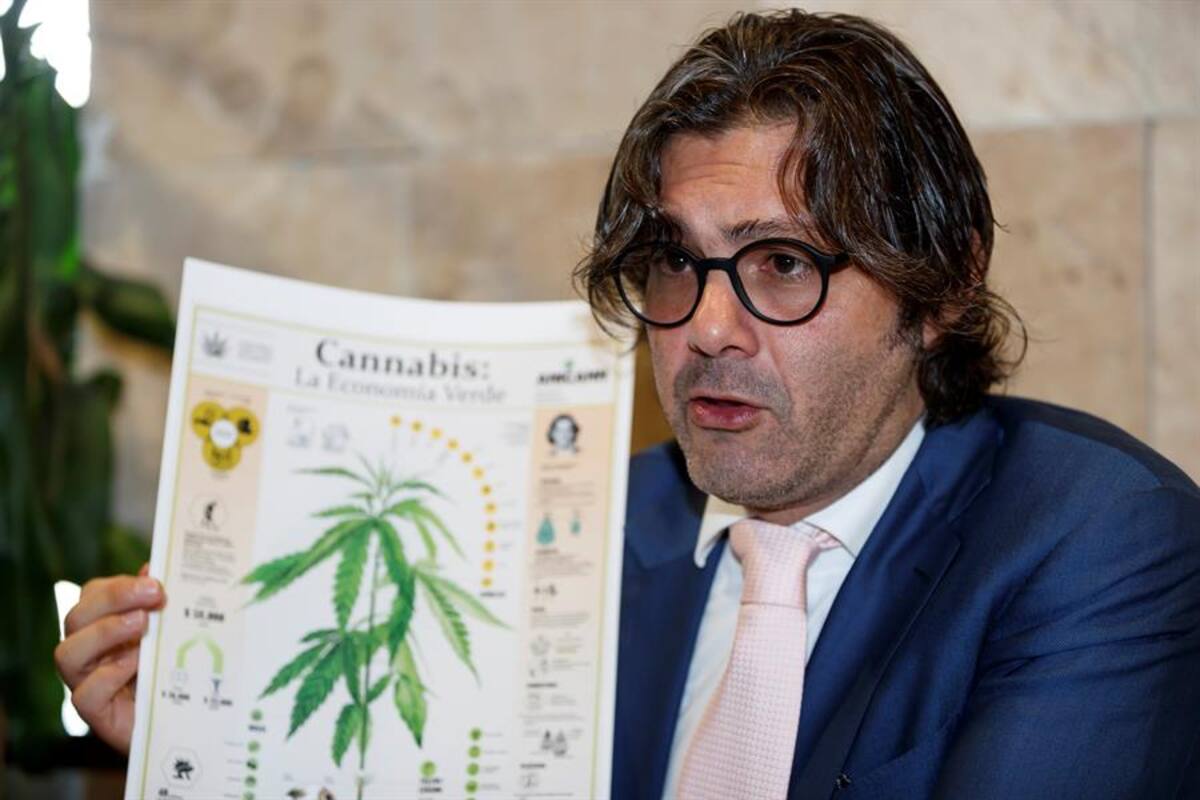 Empresarios se preparan para el "boom" que causará la legalización de la mariguana en México