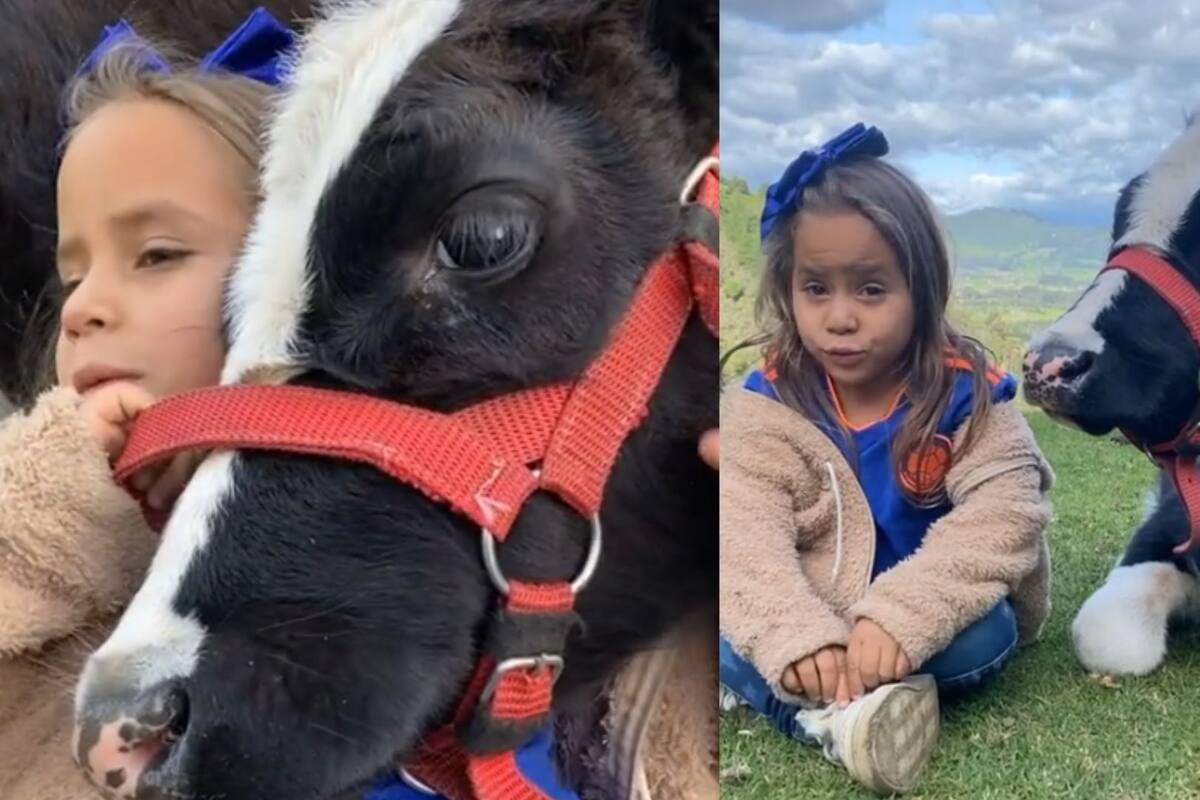 Niña asegura que si no eres feliz lo único que te hace falta es comprarte una vaca