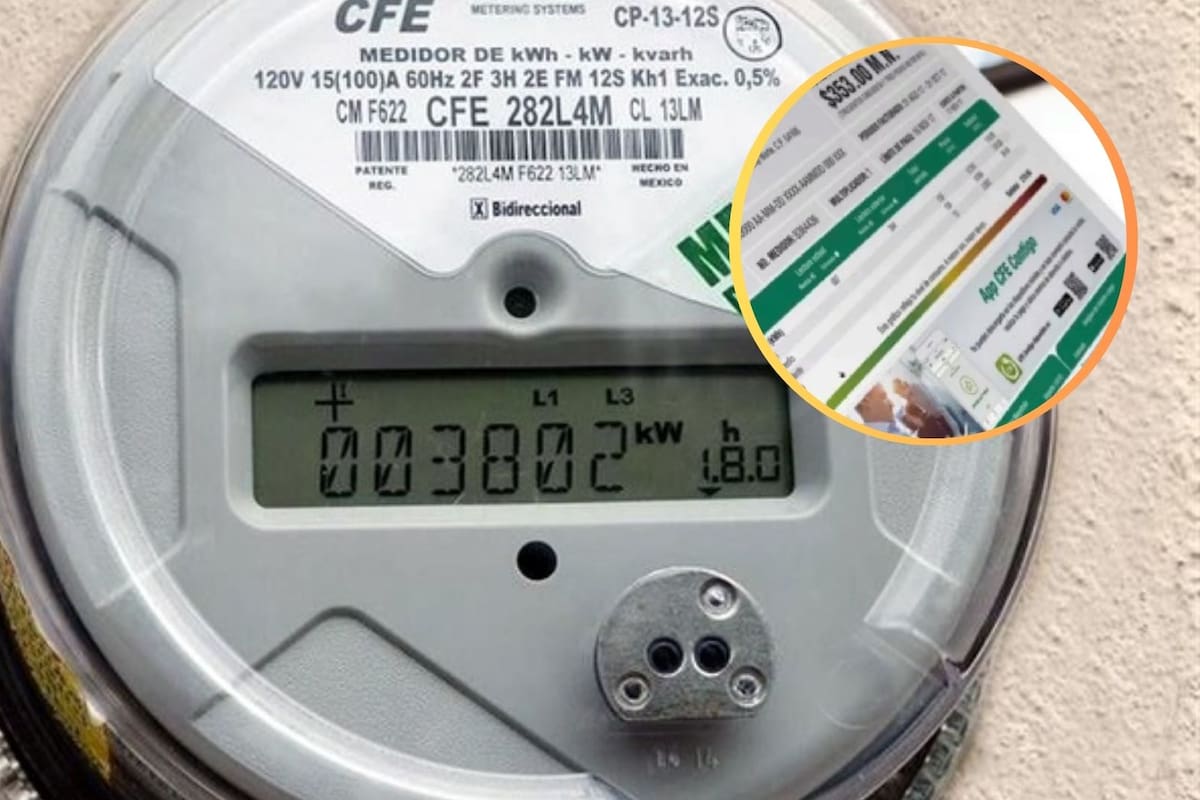 ¡Qué no te roben energía! Así puedes monitorear tu consumo de luz en tiempo real