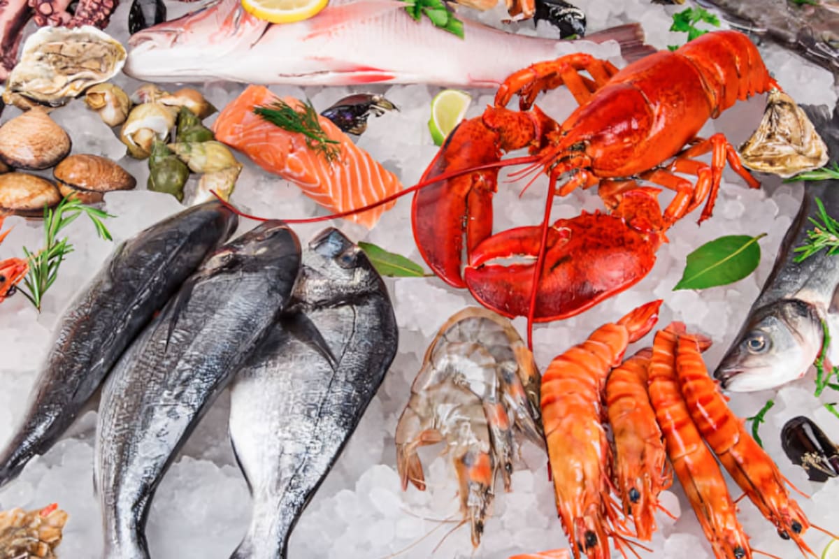 ¿Qué pescados y mariscos son más recomendables?
