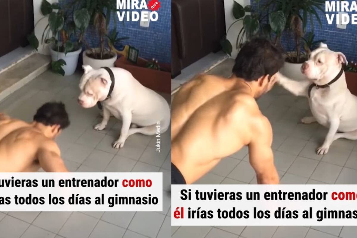 Un perro ayuda a su dueño mientras entrena de una manera inesperada
