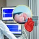 Sonora avala reforma para detectar cardiopatías en bebés