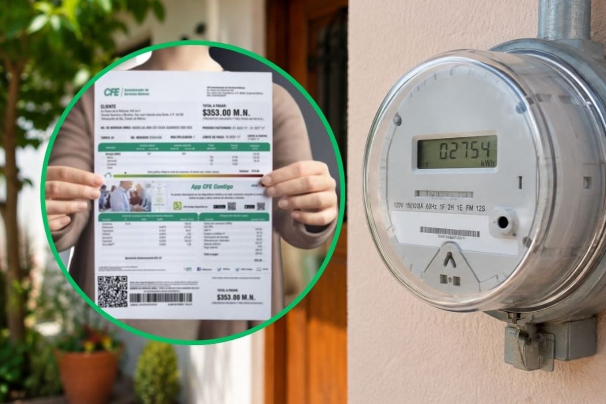 Cómo cambiar el titular del recibo de luz de la CFE tras mudarte, divorciarte o por fallecimiento para usarlo como comprobante de domicilio