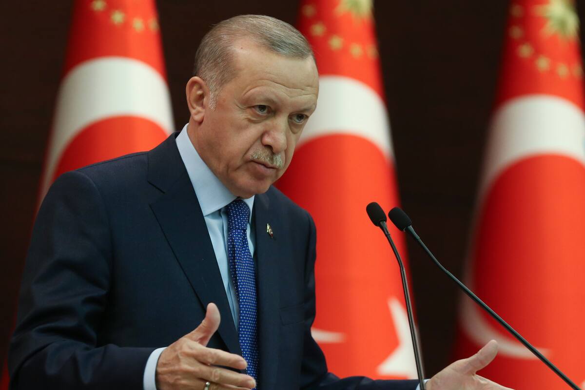 Erdogan ofrece sede en Turquía para negociaciones de paz entre Rusia y Ucrania