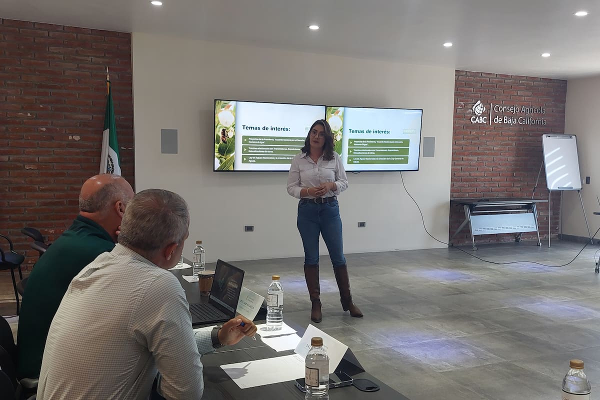 Falta de ordenamiento en San Quintín ha propiciado fraccionadores irregulares