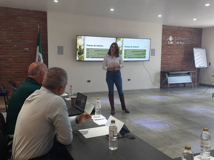 Falta de ordenamiento en San Quintín ha propiciado fraccionadores irregulares