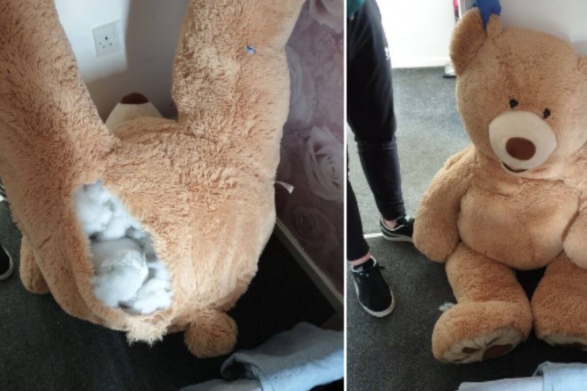 ¡Vaya ingenio! Ladrón intentó esconderse en un oso de peluche