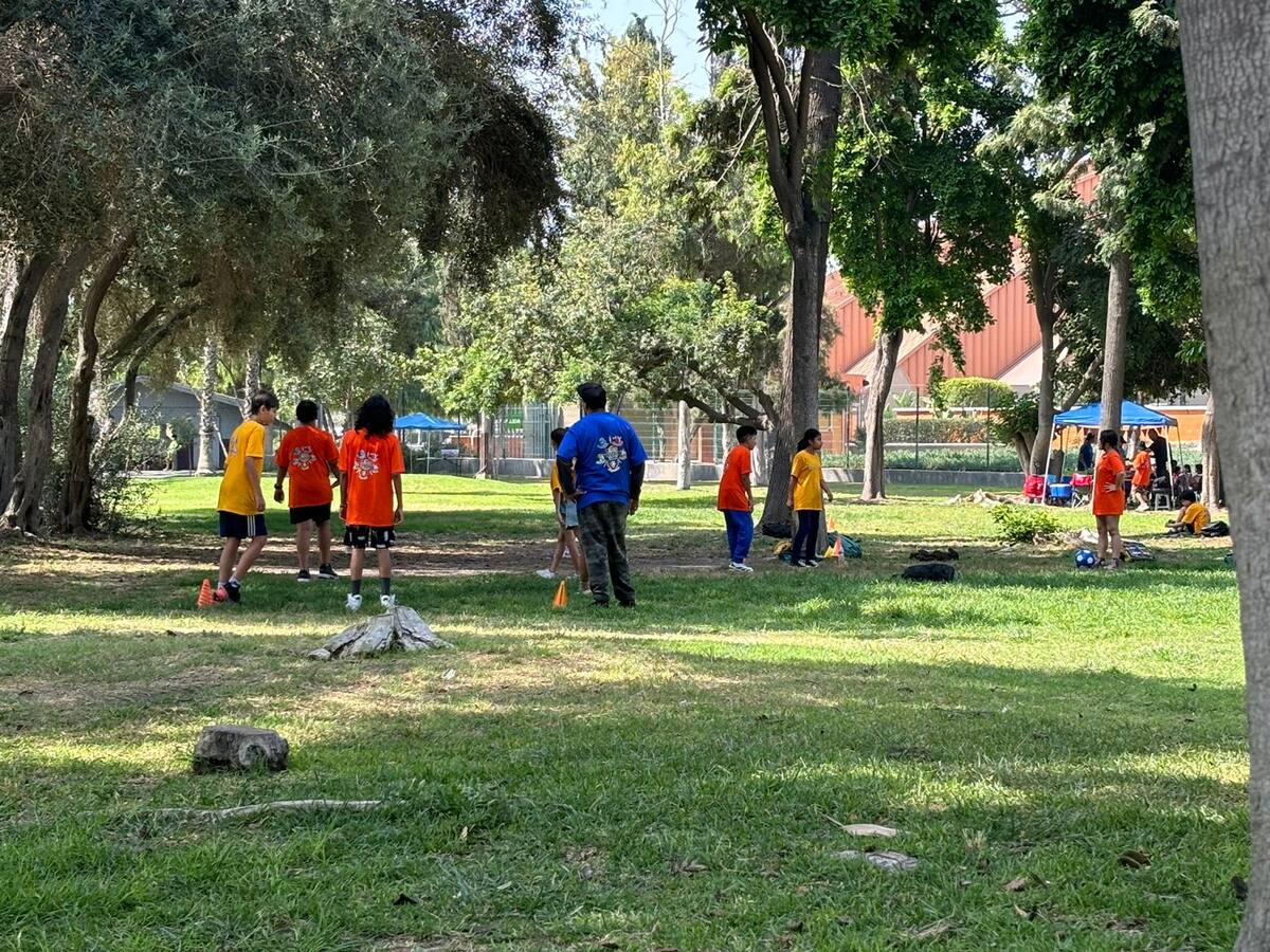 El campamento está dirigido a menores de 4 y 14 años de edad.